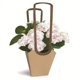 Novedades especiales para floristas
