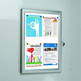 Vitrina de informaci?n