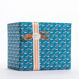 Papel de regalo puntos 70 cm multicolor - 100 metros Papel de regalo puntos 70 cm multicolor - 100 metros