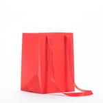 Bolsa asa larga Velvet 17x17x25 cm roja - 10 unidades