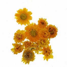 Flores secas 6 gramos amarillas/naranjas Flores secas 6 gramos amarillas/naranjas
