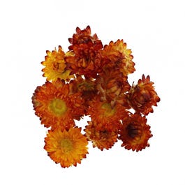 Flores secas 6 gramos naranjas Flores secas 6 gramos naranjas